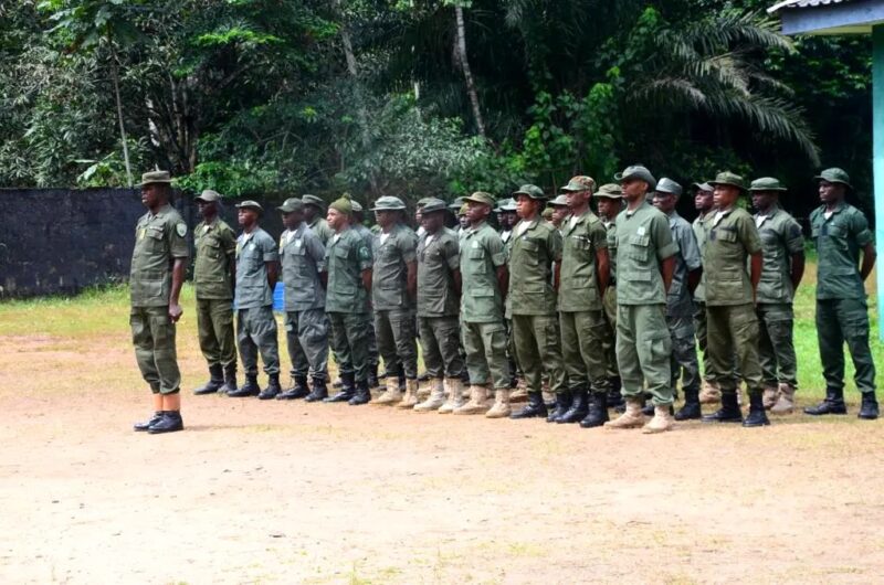 Uitgebreide training voor 60 rangers en ecoguards in het leefgebied van de Cross River gorilla, Nigeria